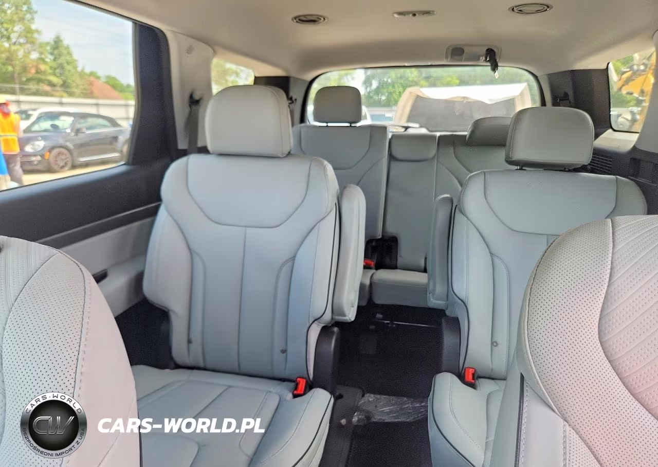 2025 Hyundai Palisade Sel VIN:KM8R2DGE3SU824382 - 10