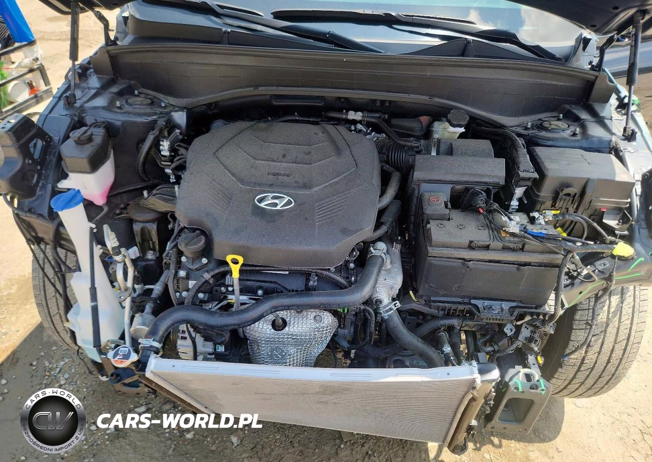 2025 Hyundai Palisade Sel VIN:KM8R2DGE3SU824382 - 12