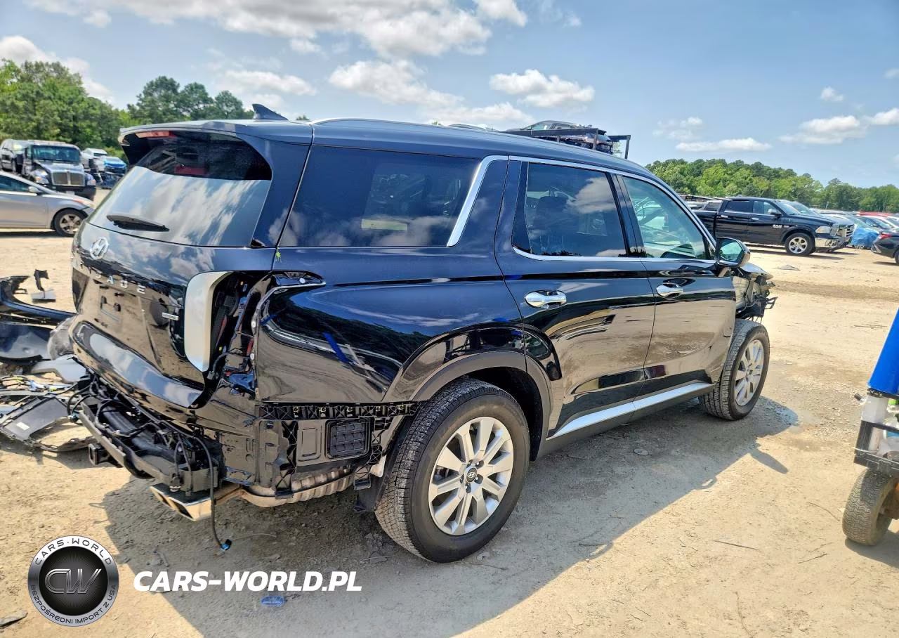 2025 Hyundai Palisade Sel VIN:KM8R2DGE3SU824382 - 3