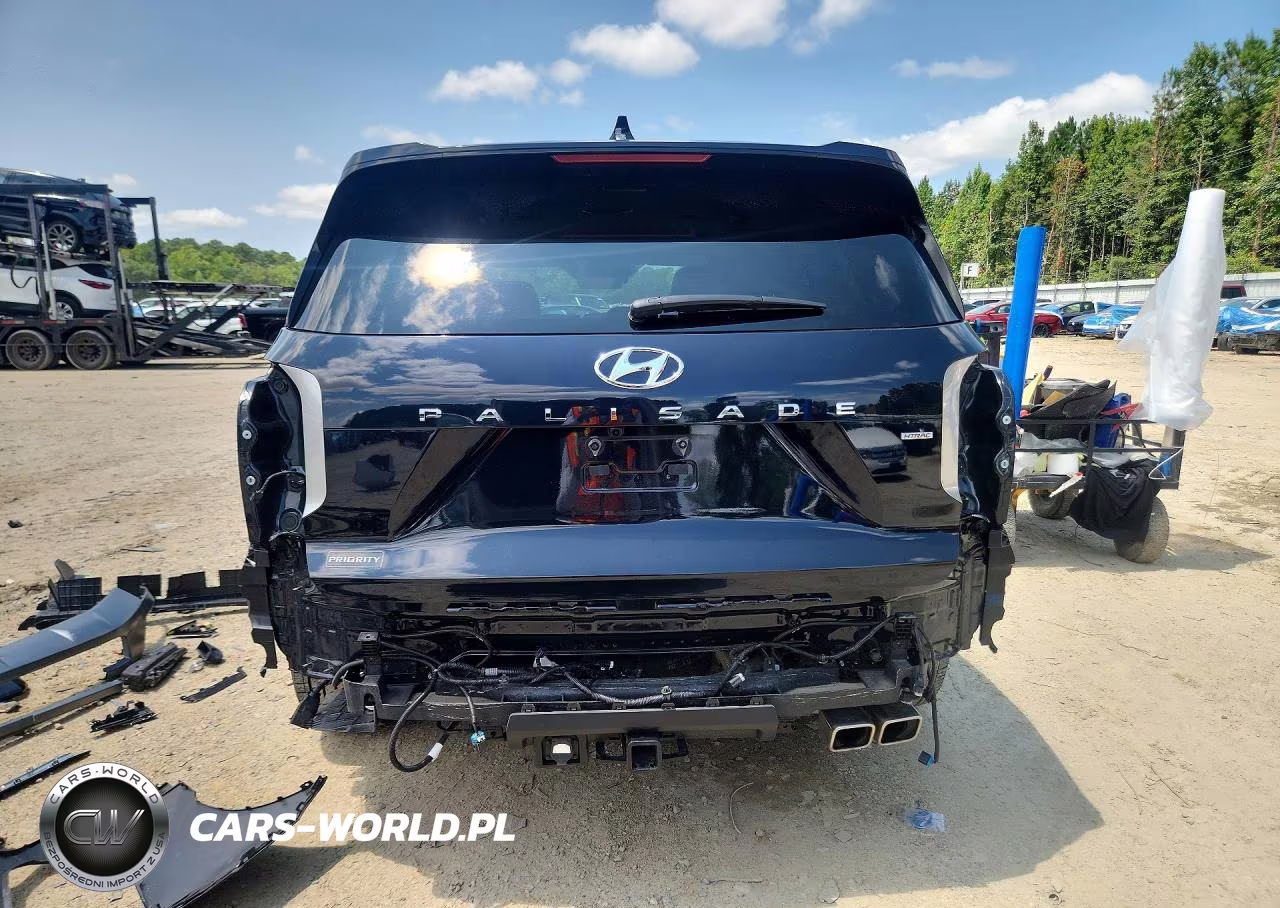 2025 Hyundai Palisade Sel VIN:KM8R2DGE3SU824382 - 6