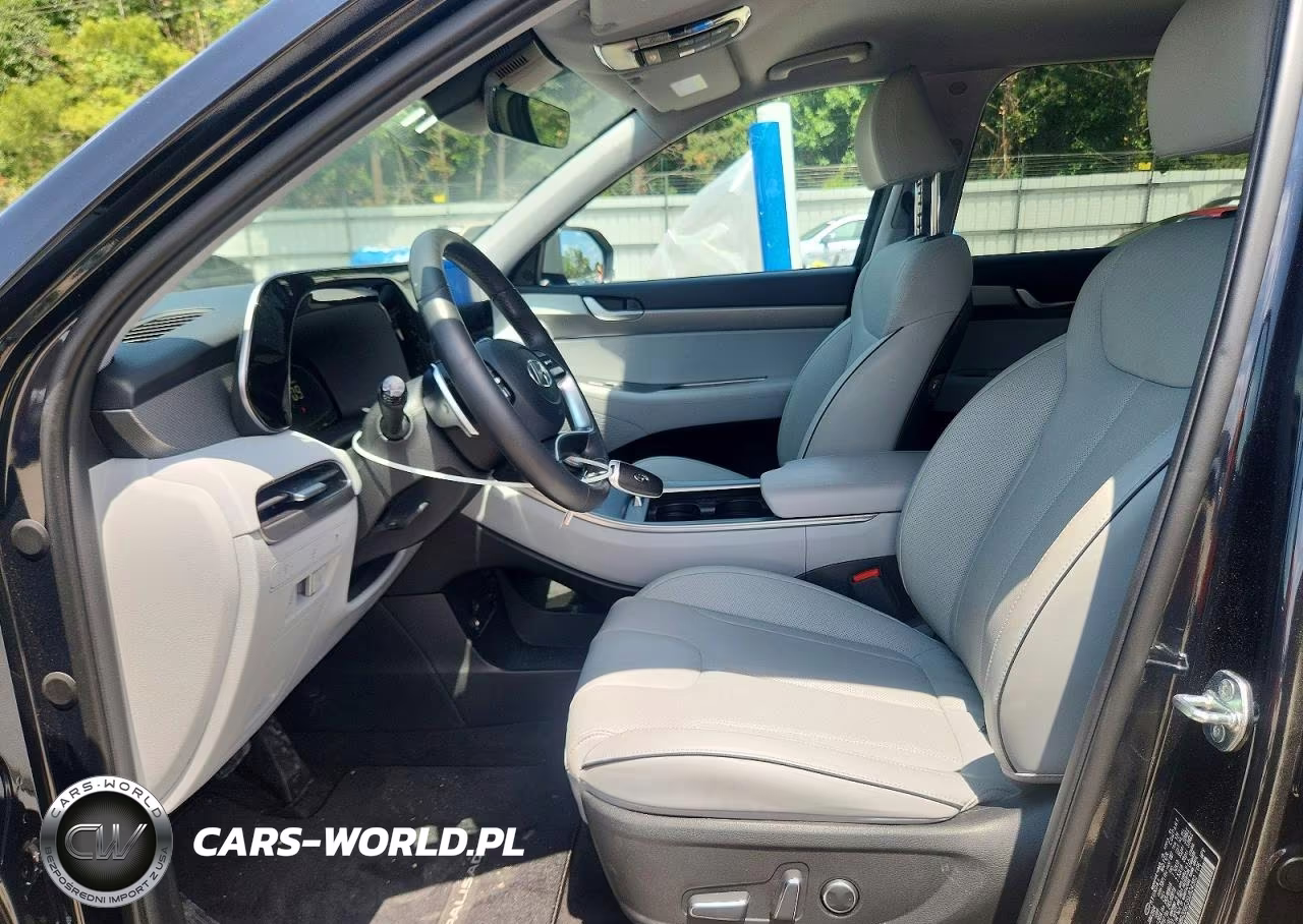 2025 Hyundai Palisade Sel VIN:KM8R2DGE3SU824382 - 7