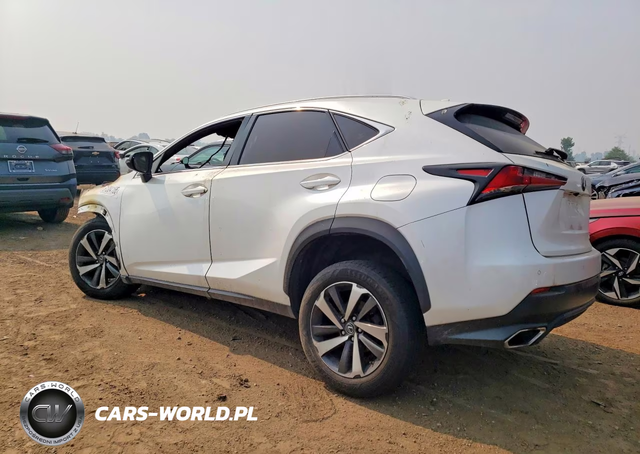 2018 Lexus Nx300 VIN:JTJBARBZ6J2160358 - 2
