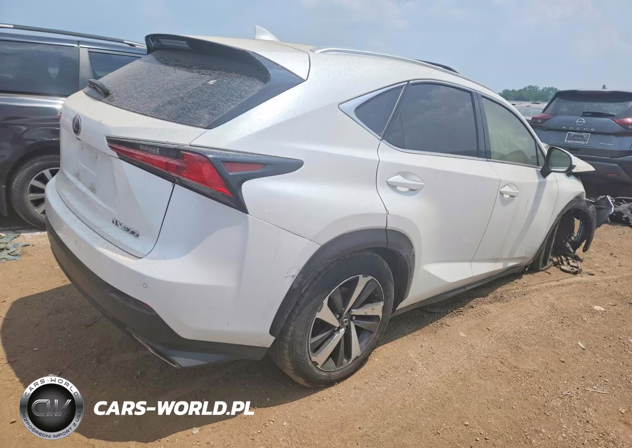 2018 Lexus Nx300 VIN:JTJBARBZ6J2160358 - 3