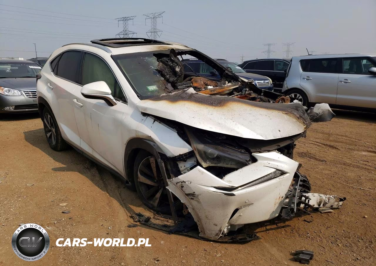 2018 Lexus Nx300 VIN:JTJBARBZ6J2160358 - 4