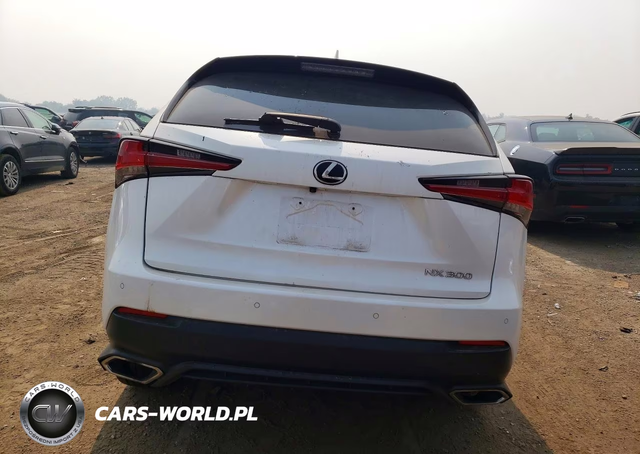 2018 Lexus Nx300 VIN:JTJBARBZ6J2160358 - 6