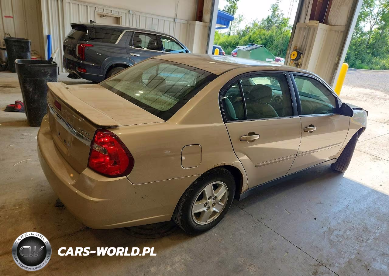 2005 Chevrolet Malibu Ls VIN:1G1ZT54855F125455 - 3