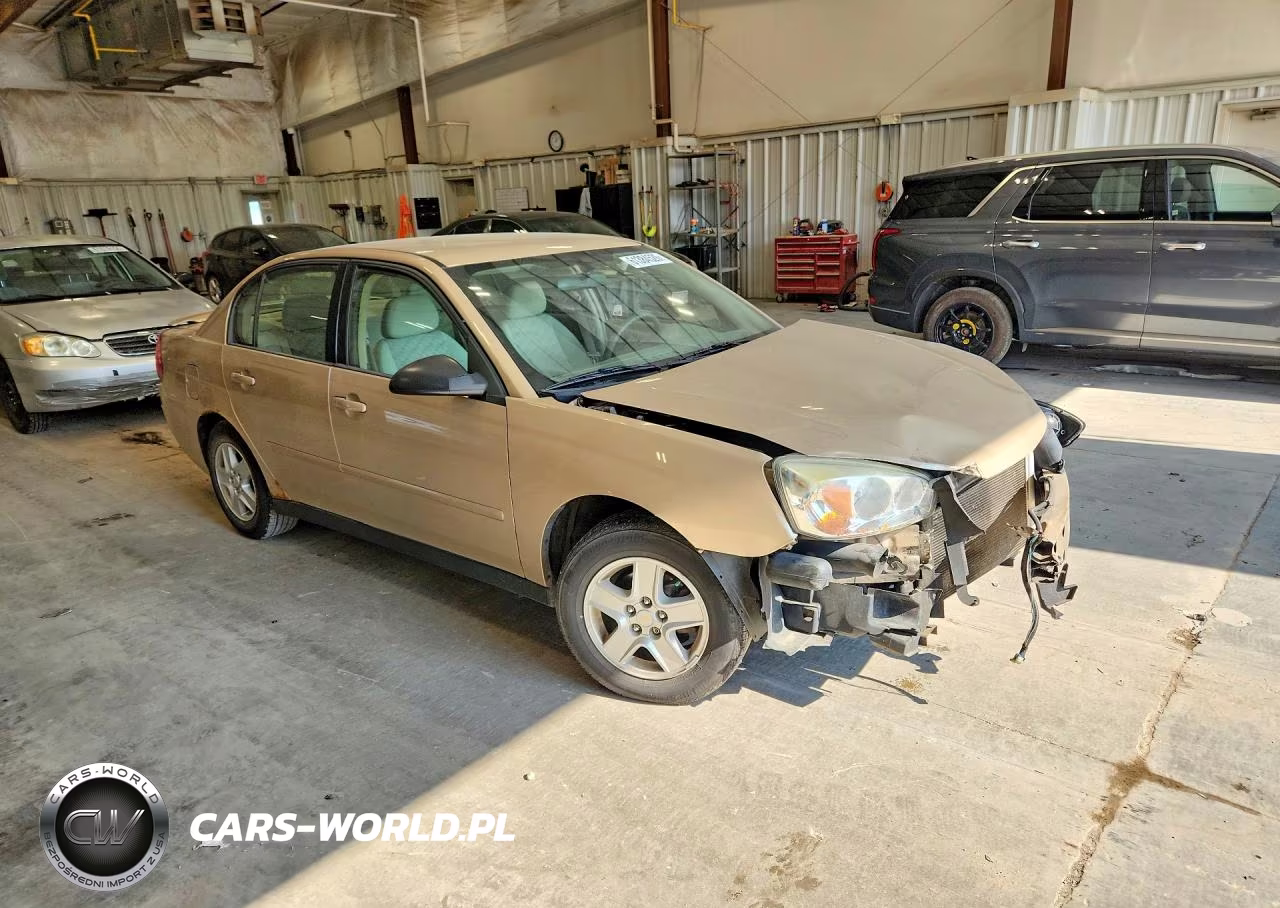 2005 Chevrolet Malibu Ls VIN:1G1ZT54855F125455 - 4