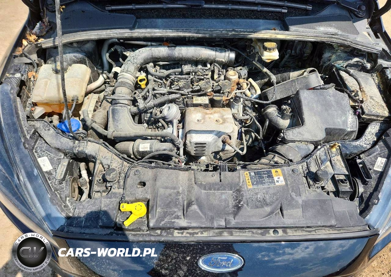 2018 Ford Focus Se VIN:1FADP3FE4JL257248 - 11