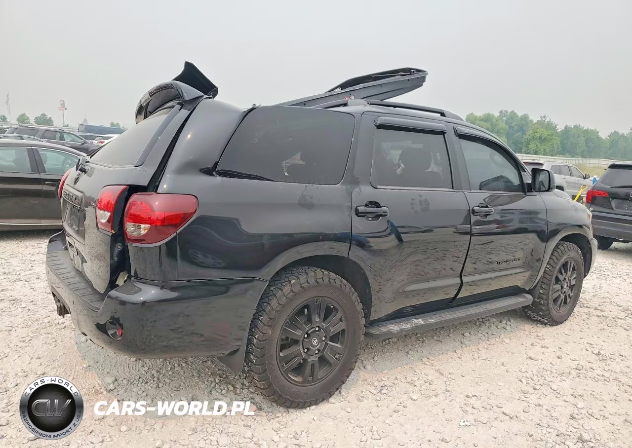 2019 Toyota Sequoia Trd Sport VIN:5TDBY5G15KS174210 - 3