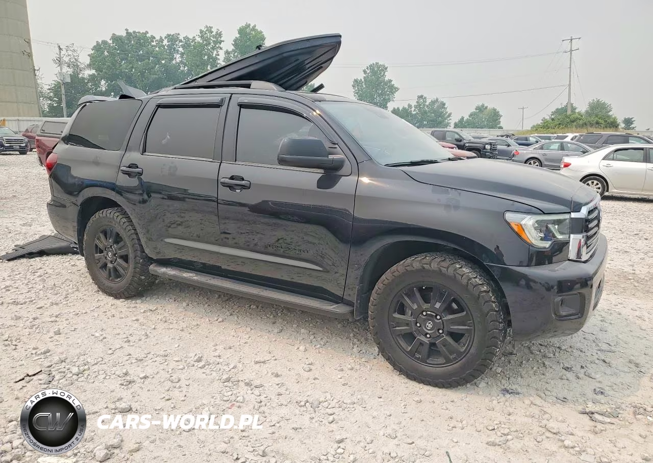 2019 Toyota Sequoia Trd Sport VIN:5TDBY5G15KS174210 - 4