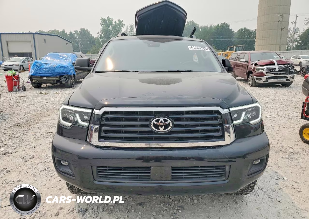 2019 Toyota Sequoia Trd Sport VIN:5TDBY5G15KS174210 - 5