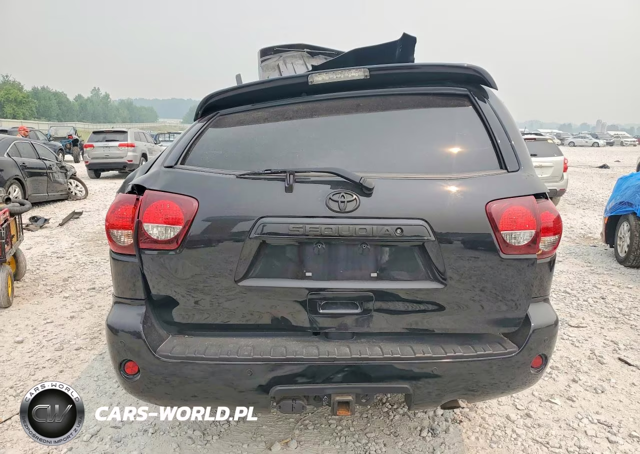 2019 Toyota Sequoia Trd Sport VIN:5TDBY5G15KS174210 - 6