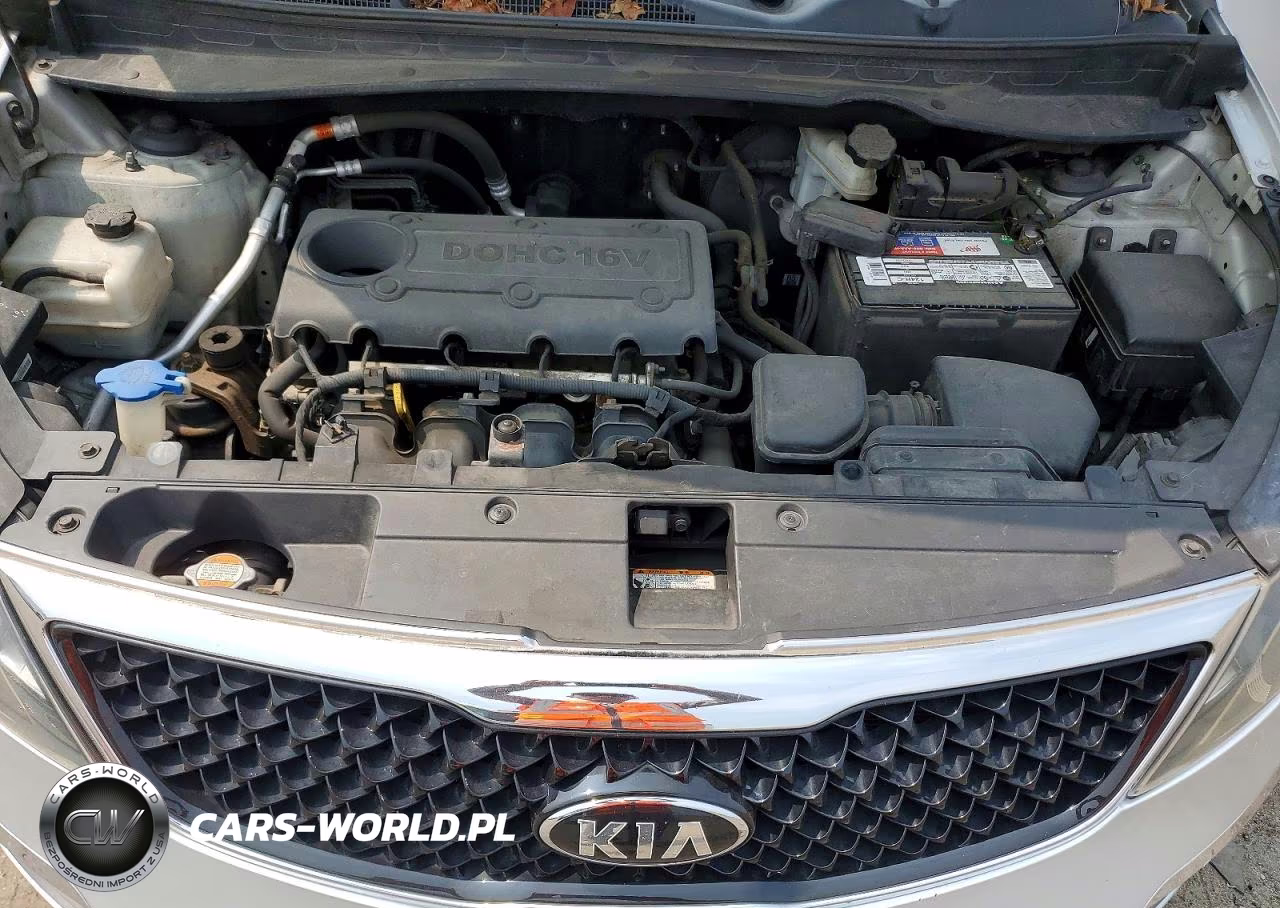2012 Kia Sportage Lx VIN:KNDPBCA22C7213800 - 12
