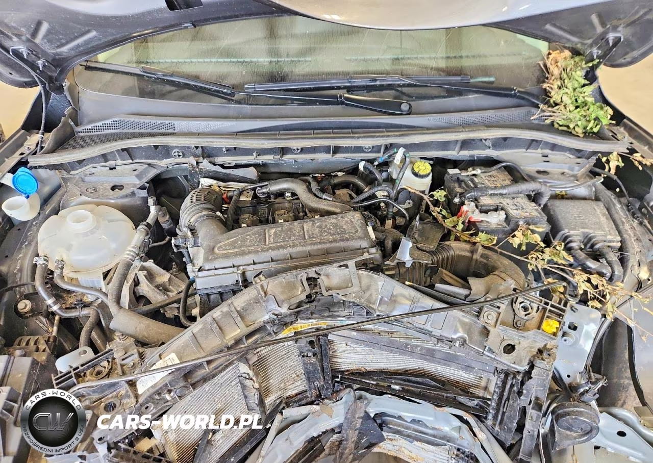 2025 Ford Escape Active VIN:1FMCU9GN9SUA43475 - 11