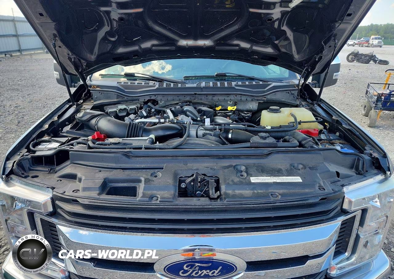 2019 Ford F250 Super Duty VIN:1FT7W2BT7KED65006 - 11