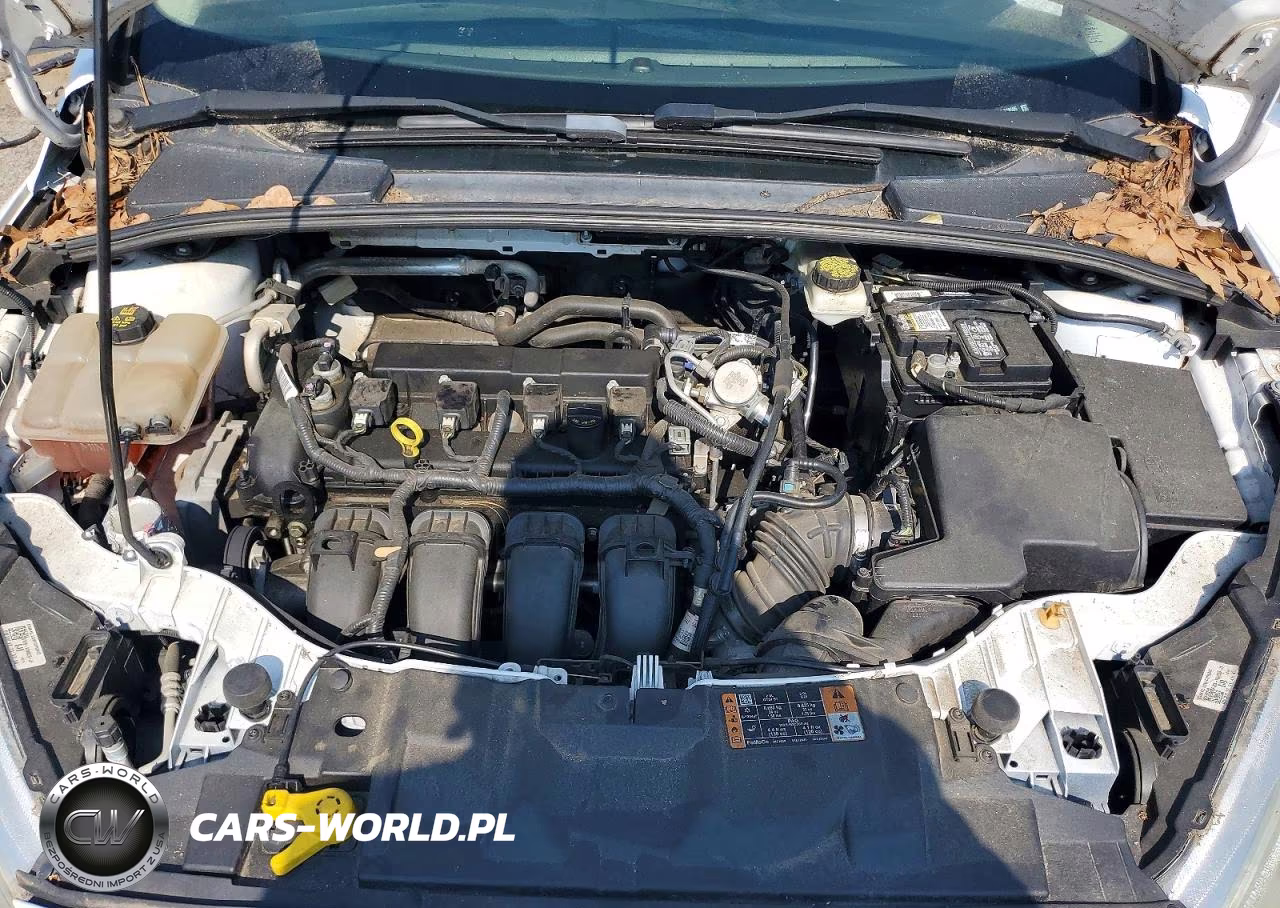 2017 Ford Focus Se VIN:1FADP3F28HL278555 - 11