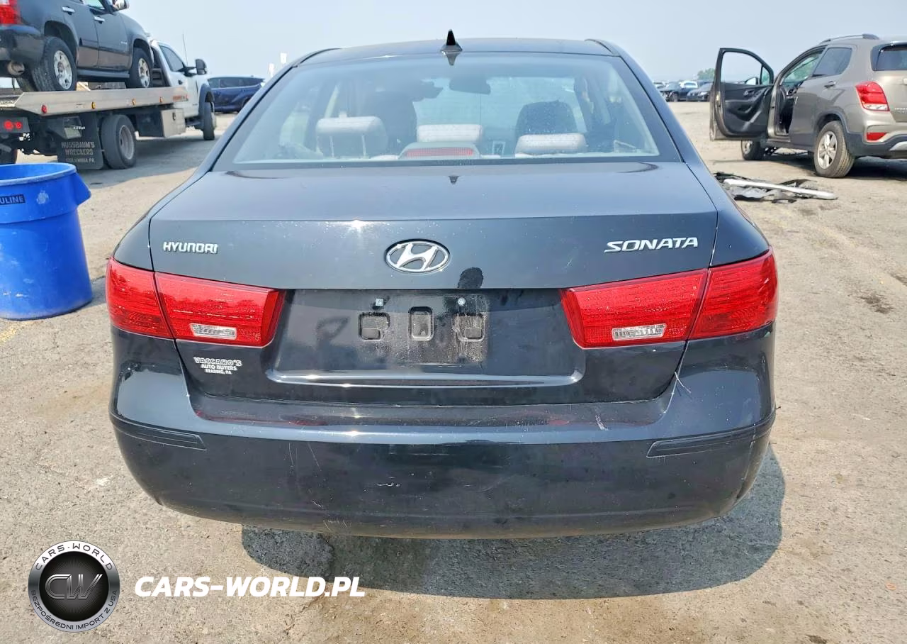 2010 Hyundai Sonata Gls VIN:5NPET4AC4AH603258 - 6
