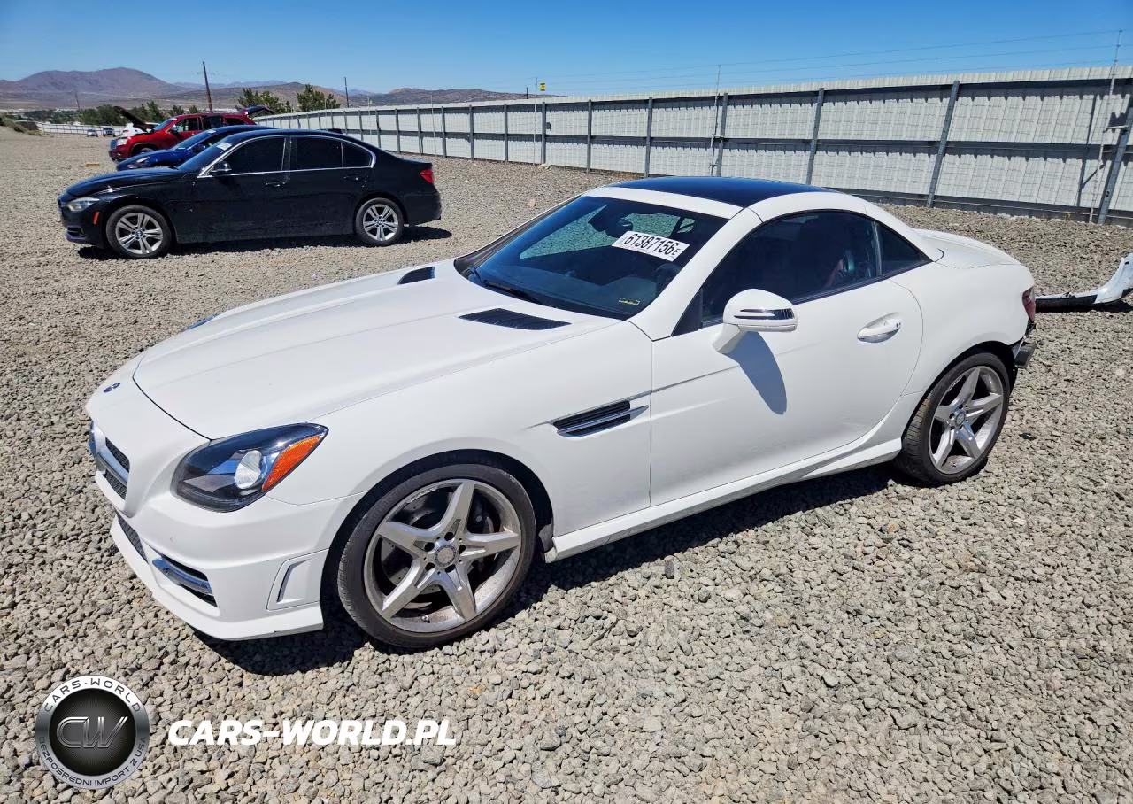 2014 Mercedes-Benz Slk 250