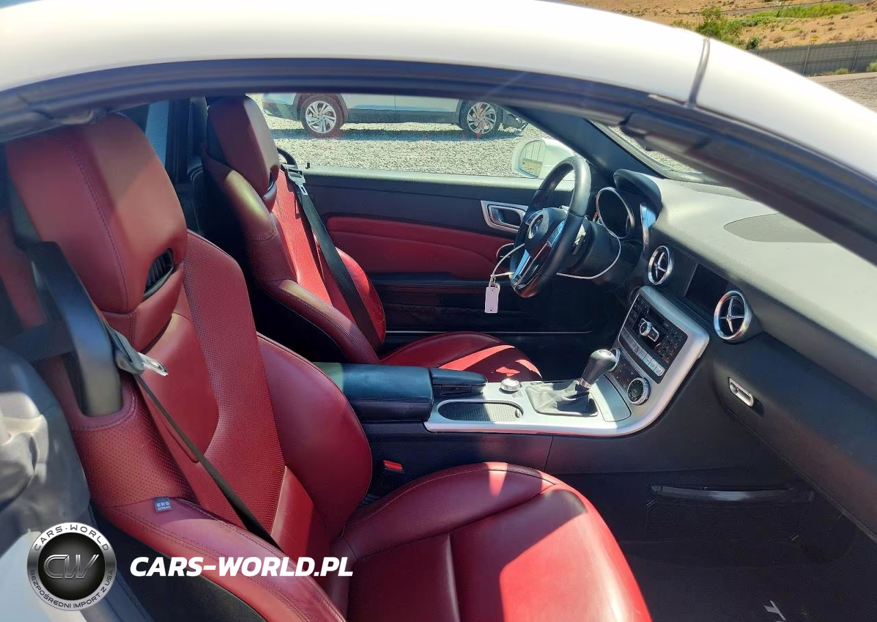 2014 Mercedes-Benz Slk 250 VIN:WDDPK4HAXEF086165 - 10