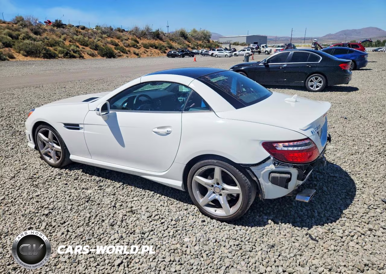 2014 Mercedes-Benz Slk 250 VIN:WDDPK4HAXEF086165 - 2