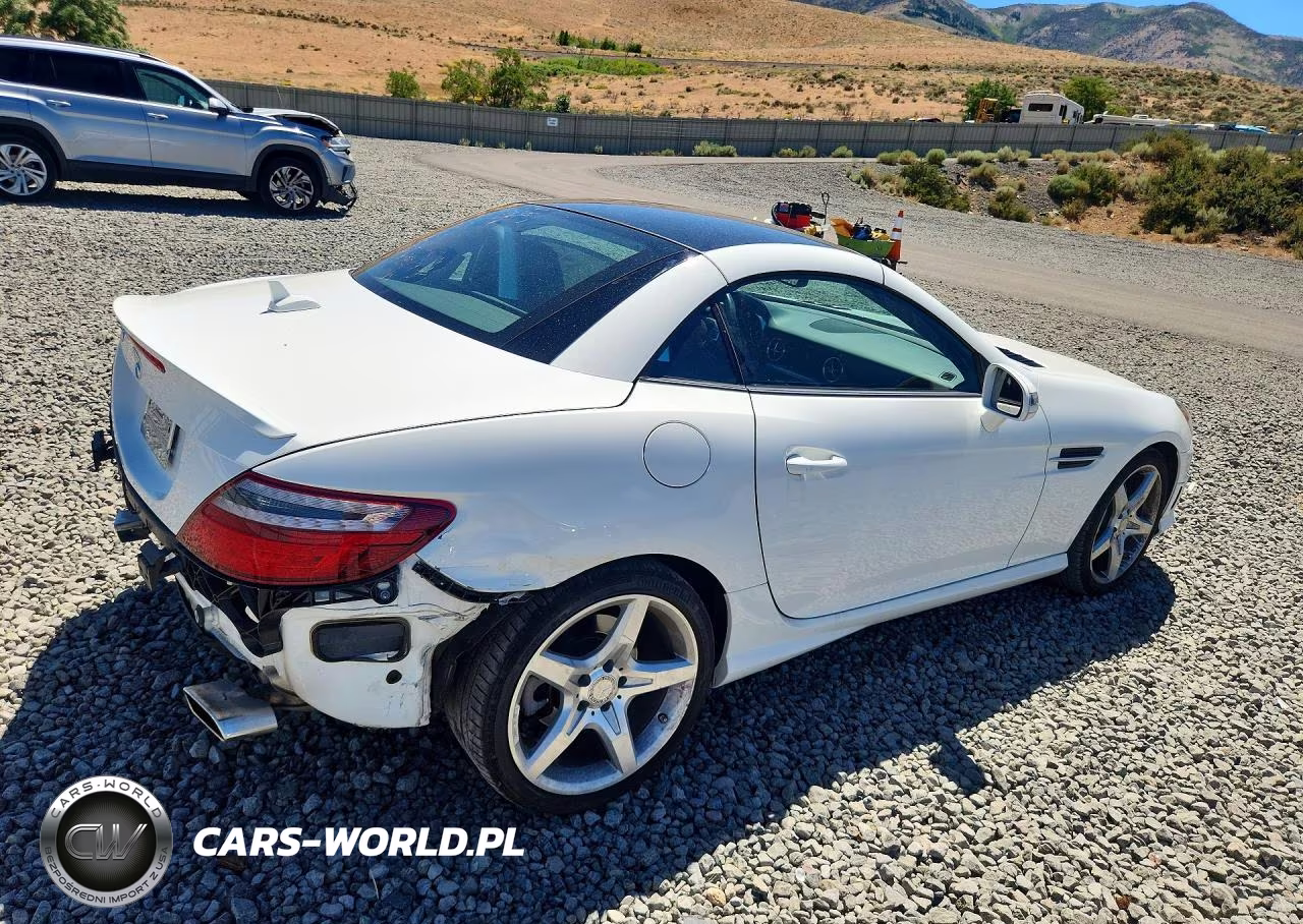 2014 Mercedes-Benz Slk 250 VIN:WDDPK4HAXEF086165 - 3
