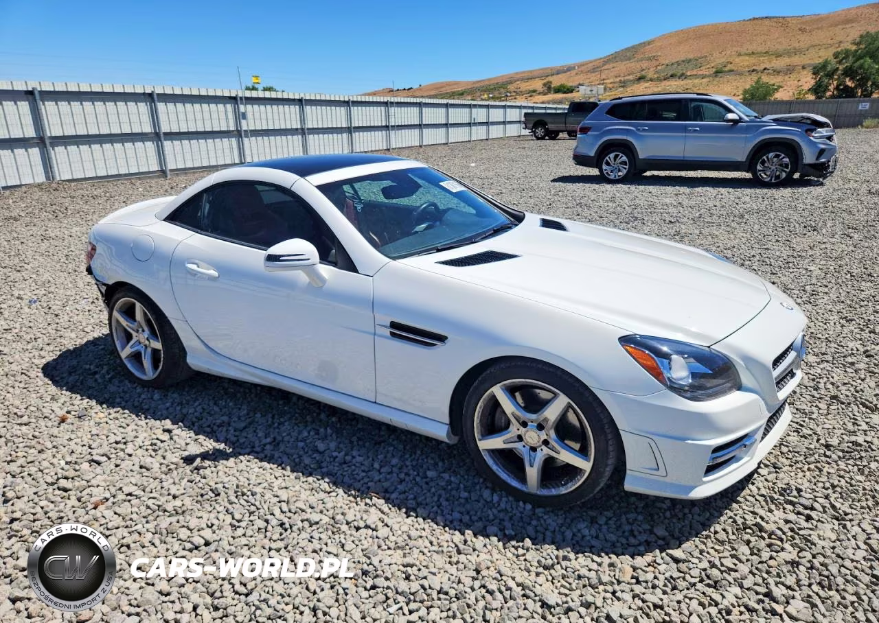 2014 Mercedes-Benz Slk 250 VIN:WDDPK4HAXEF086165 - 4