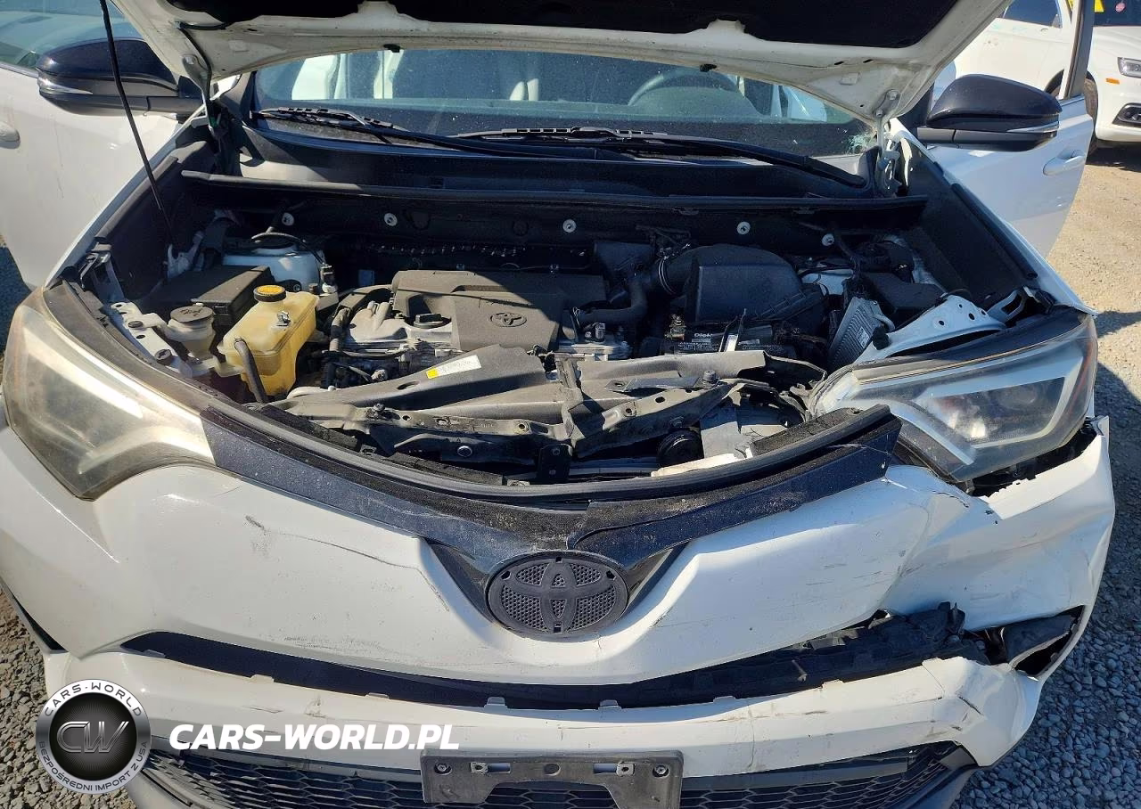 2016 Toyota Rav4 Se VIN:2T3NFREV4GW257326 - 12