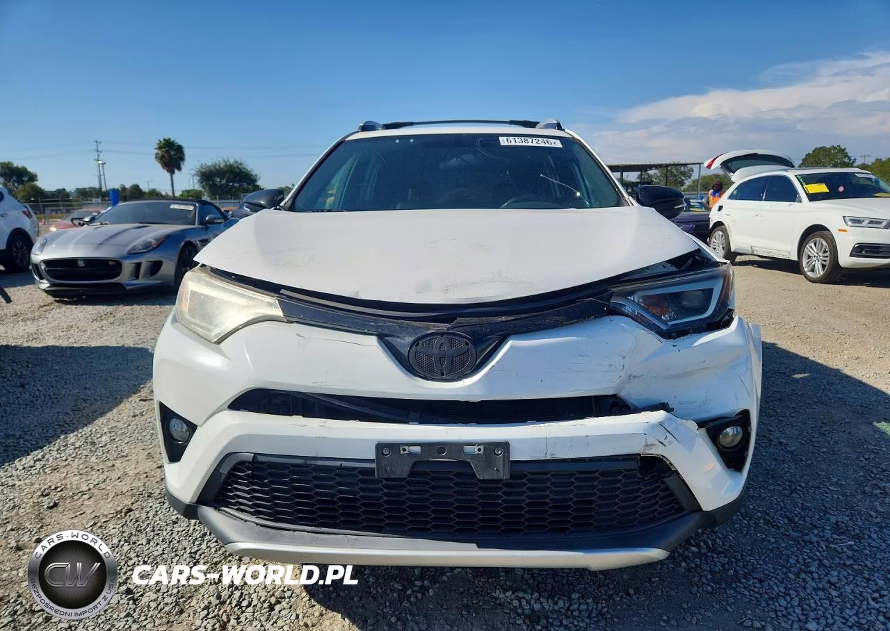 2016 Toyota Rav4 Se VIN:2T3NFREV4GW257326 - 5