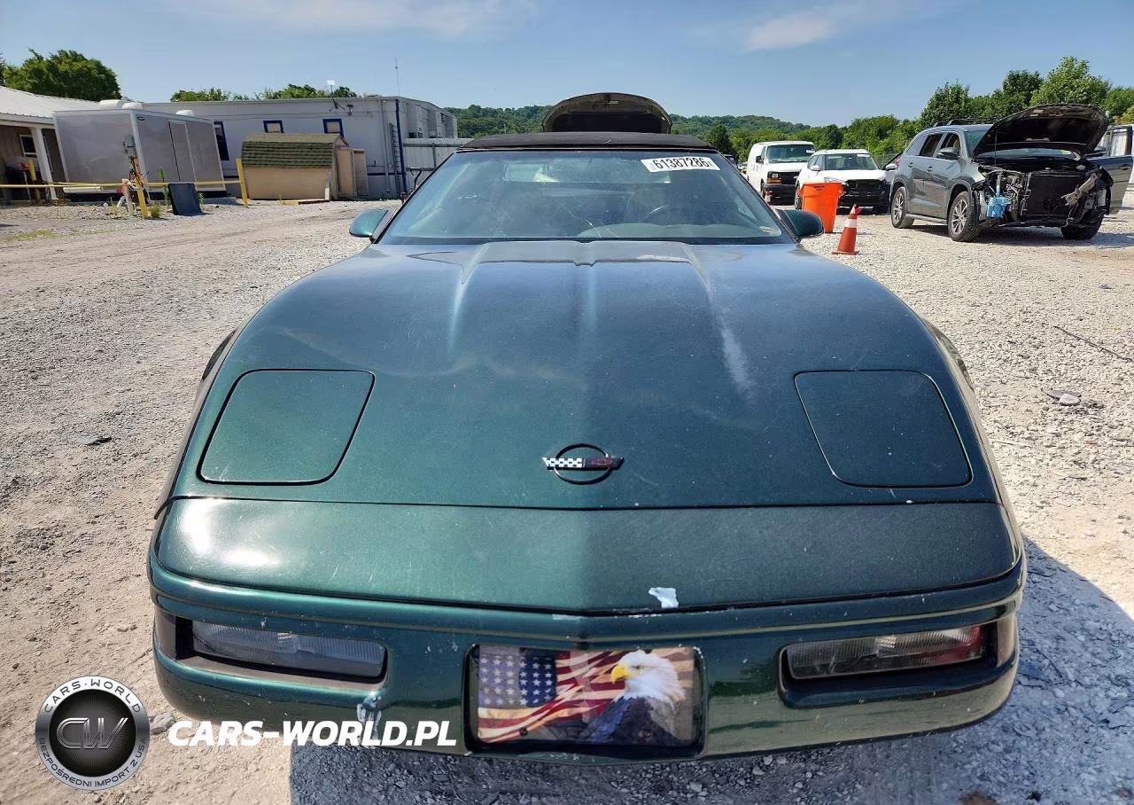 1995 Chevrolet Corvette VIN:1G1YY32P1S5114692 - 5