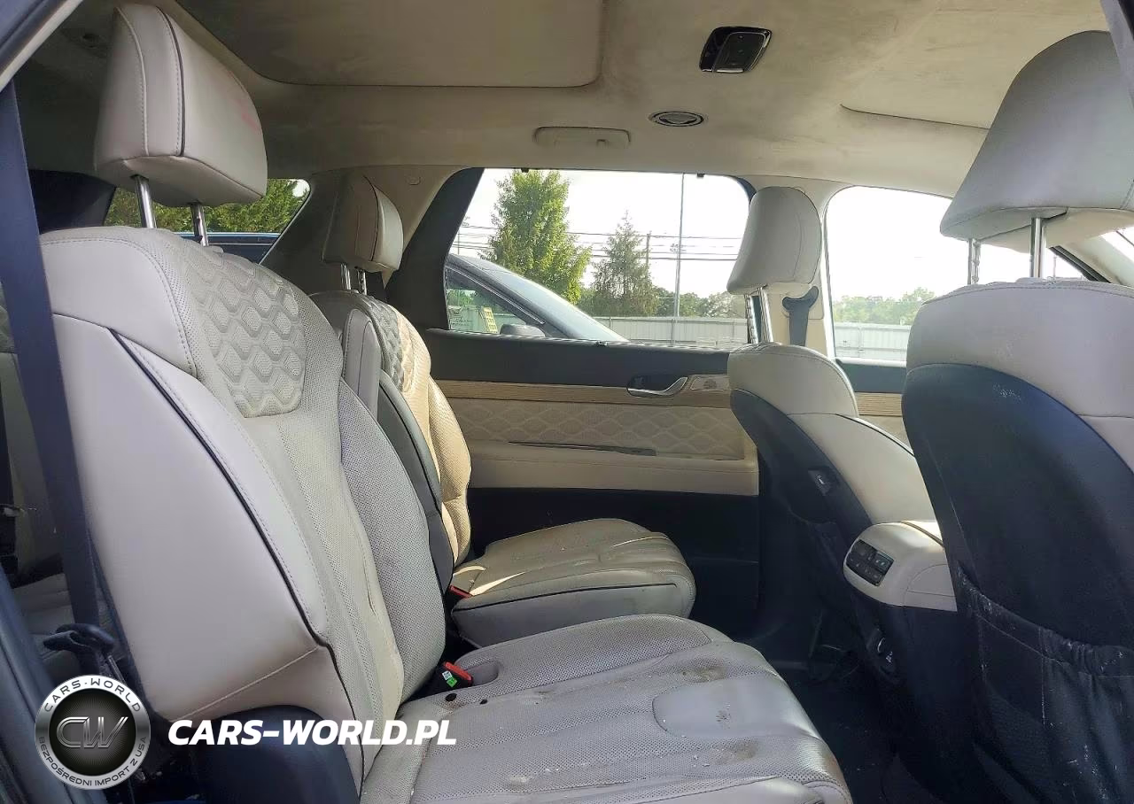 2021 Hyundai Palisade Calligraphy VIN:KM8R7DHE3MU273227 - 11