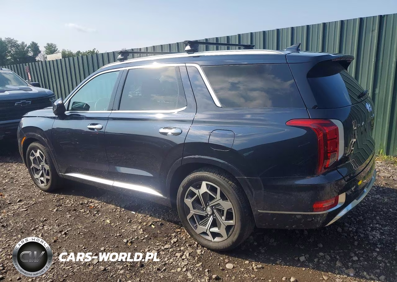 2021 Hyundai Palisade Calligraphy VIN:KM8R7DHE3MU273227 - 2