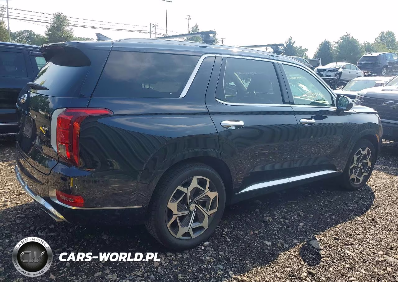 2021 Hyundai Palisade Calligraphy VIN:KM8R7DHE3MU273227 - 3