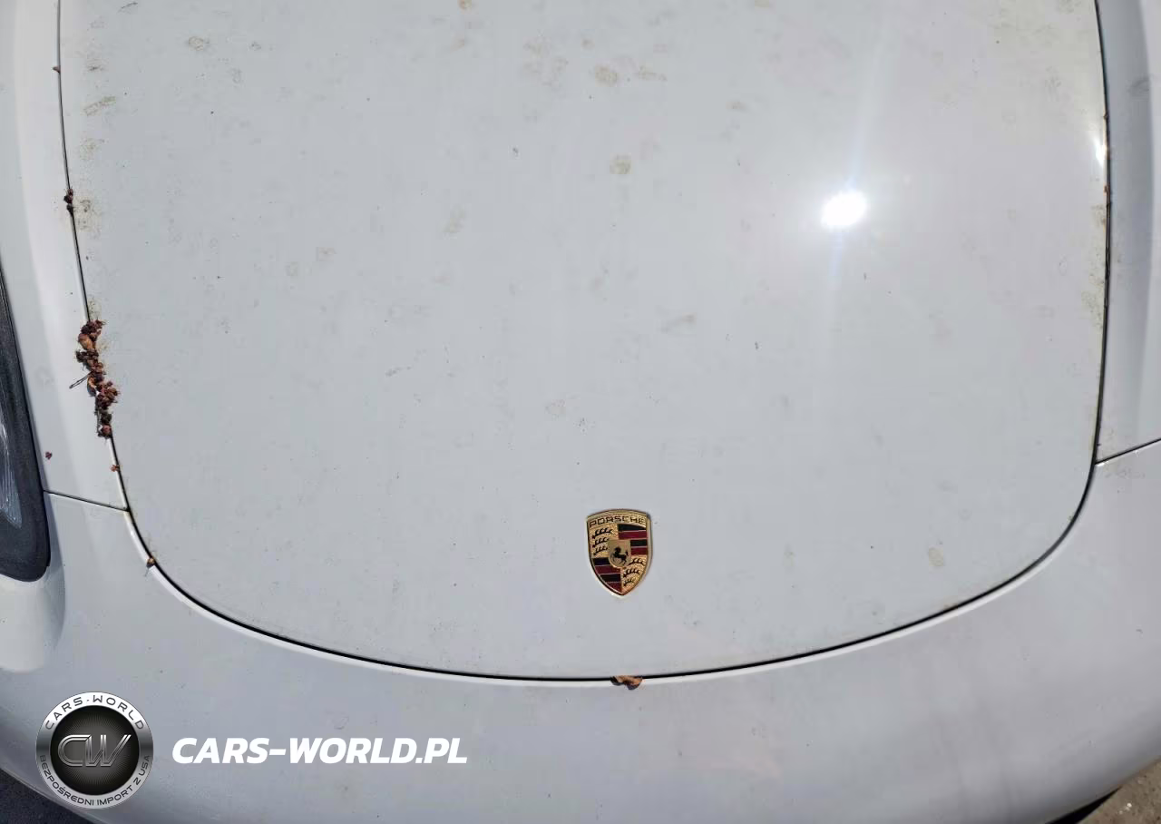 2016 Porsche Boxster VIN:WP0CA2A87GS120712 - 11