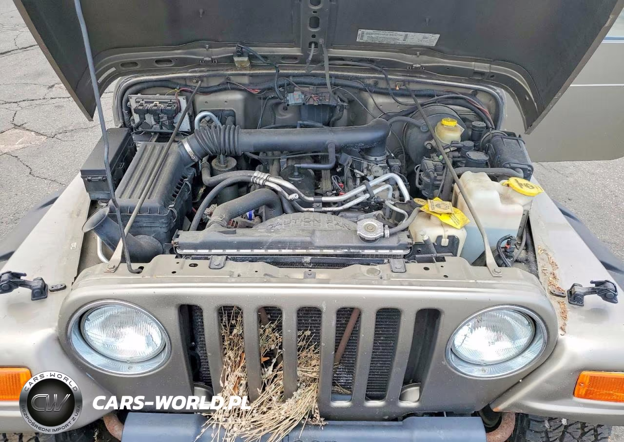 2002 Jeep Wrangler - Tj Sport VIN:1J4FA49S82P774892 - 11
