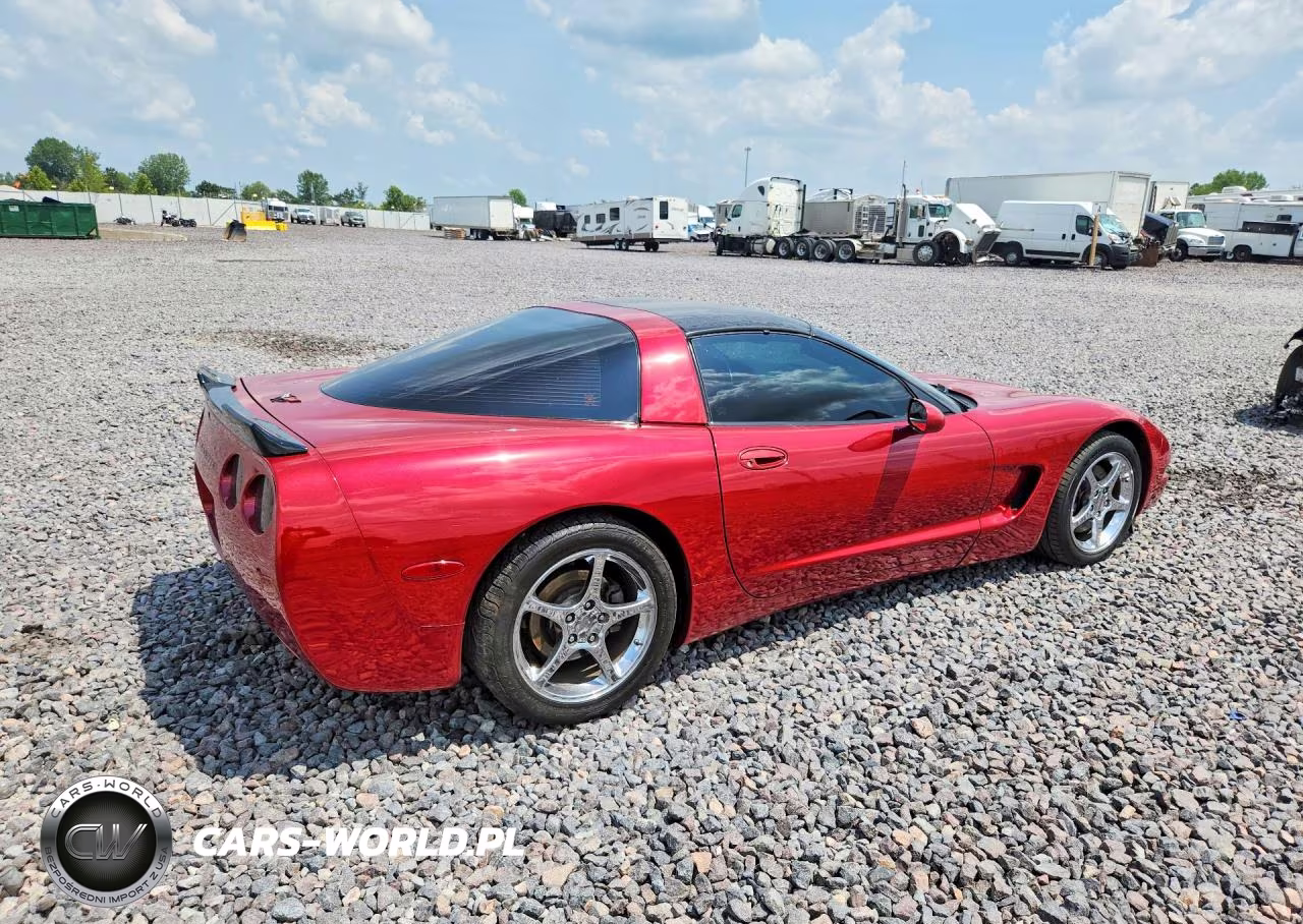 1999 Chevrolet Corvette VIN:1G1YY22G6X5123387 - 3