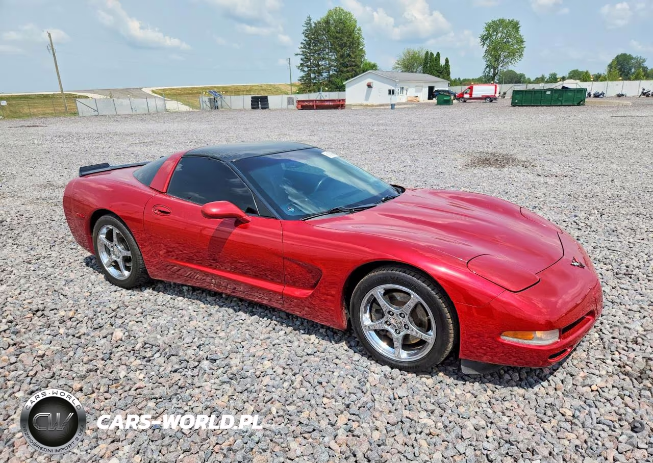 1999 Chevrolet Corvette VIN:1G1YY22G6X5123387 - 4