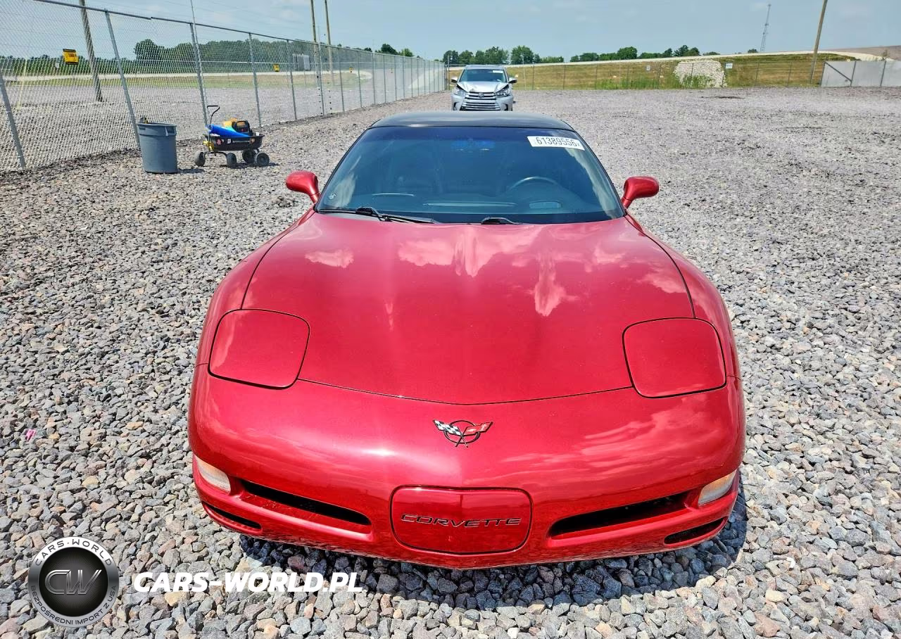 1999 Chevrolet Corvette VIN:1G1YY22G6X5123387 - 5