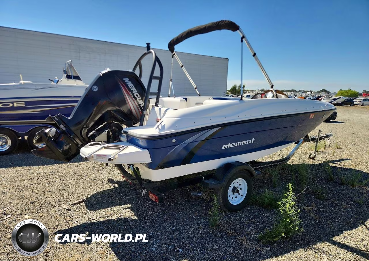 2016 Bayliner Element 75Hp - Boat VIN:BLBX3073J516 - 4