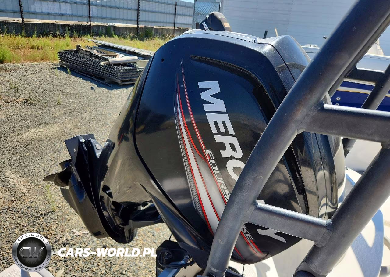 2016 Bayliner Element 75Hp - Boat VIN:BLBX3073J516 - 7