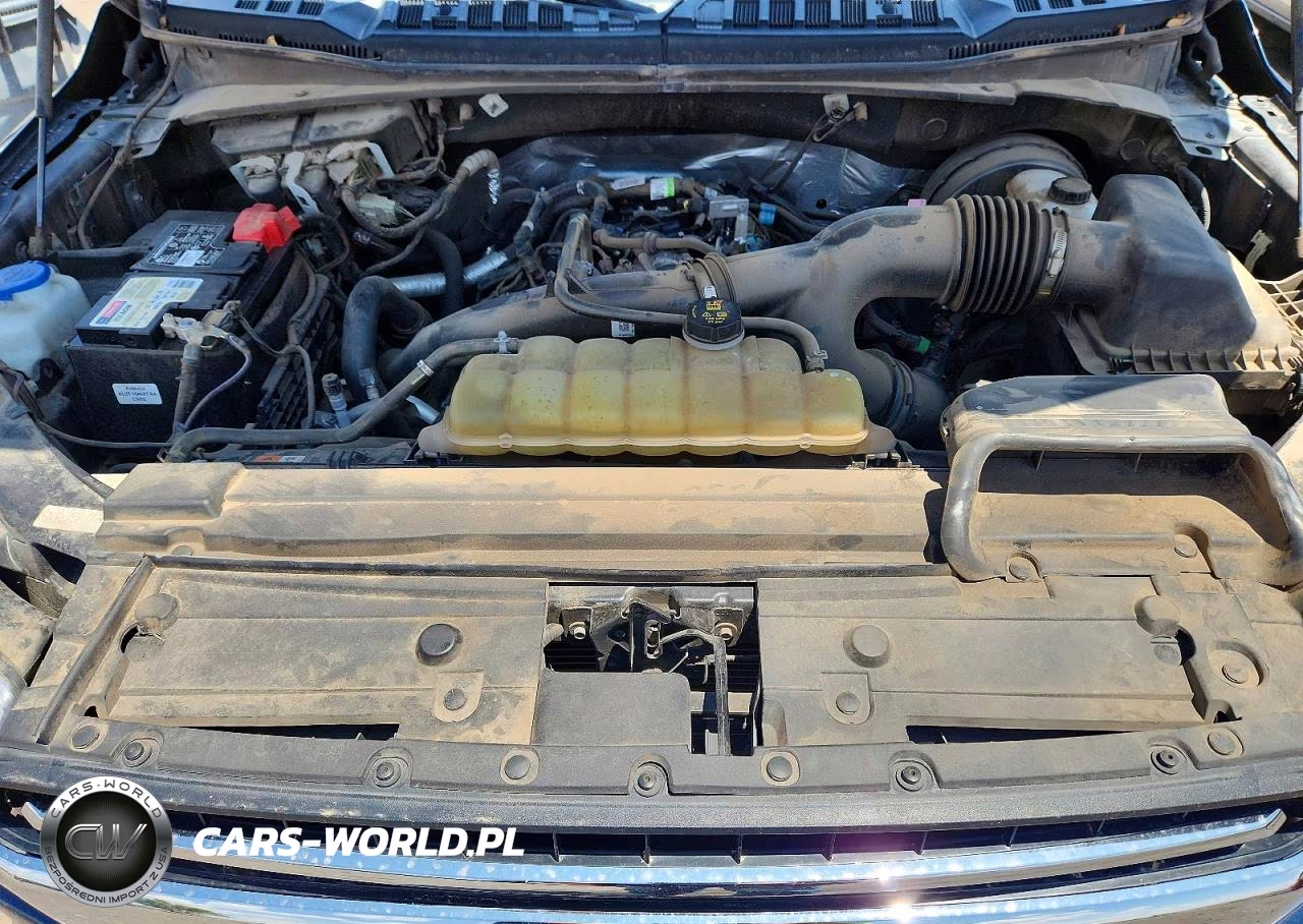2020 Ford F150 Supercrew VIN:1FTEW1CP6LKF47026 - 11