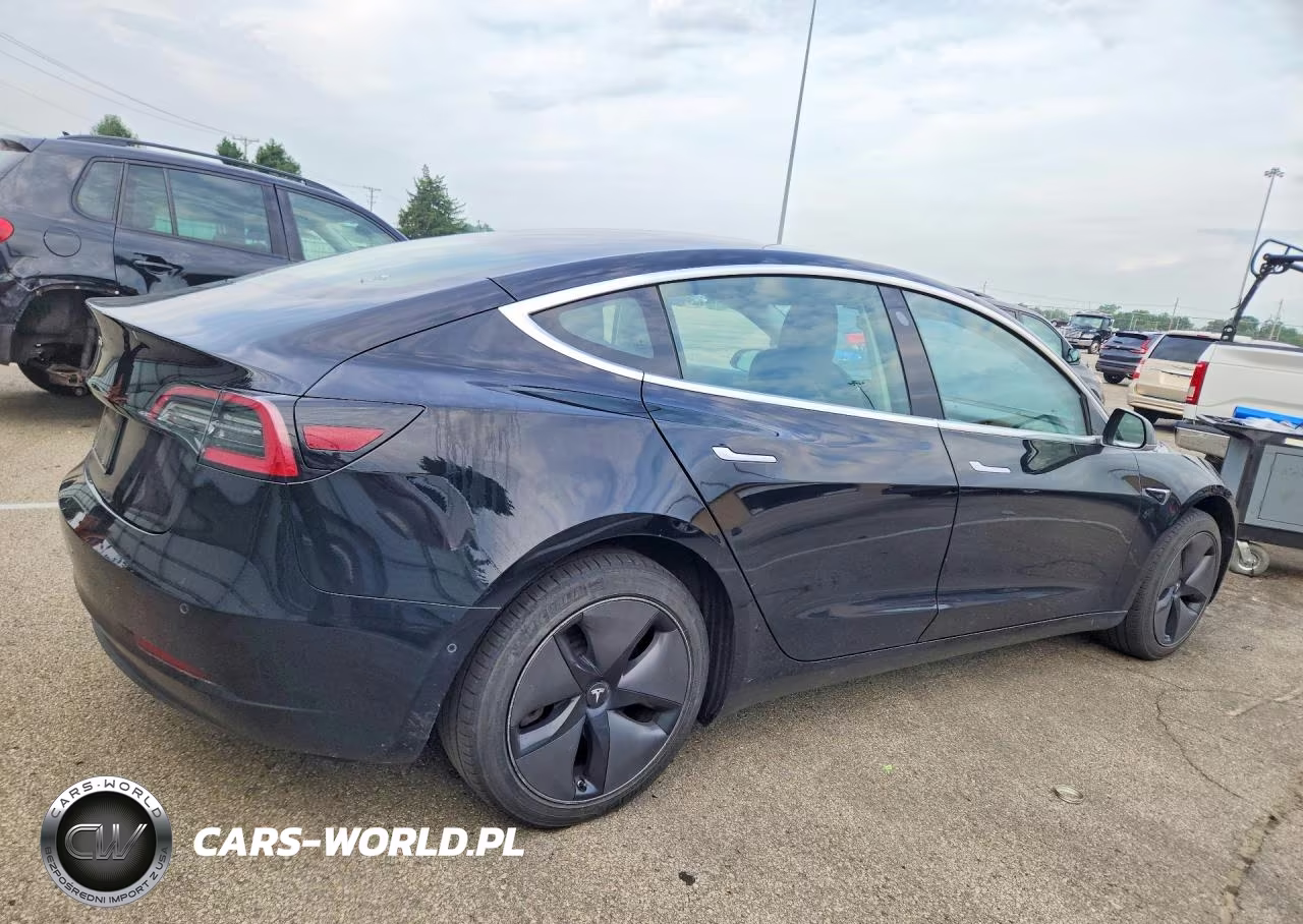 2019 Tesla Model 3 VIN:5YJ3E1EA8KF304638 - 3
