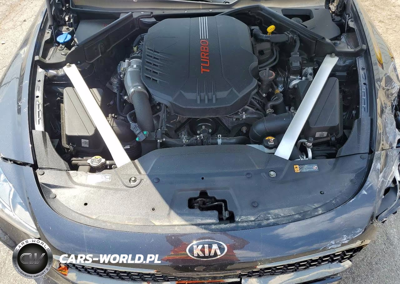 2020 Kia Stinger Gt1 VIN:KNAE45LC0L6072179 - 11