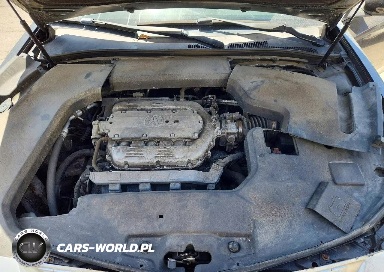 2010 Acura Tl VIN:19UUA8F57AA012420 - 11