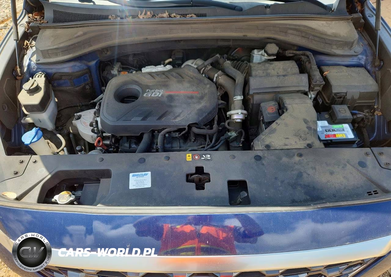 2019 Hyundai Santa Fe Limited 2.0T VIN:5NMS53AA9KH045976 - 12