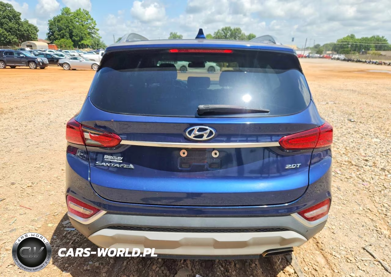 2019 Hyundai Santa Fe Limited 2.0T VIN:5NMS53AA9KH045976 - 6