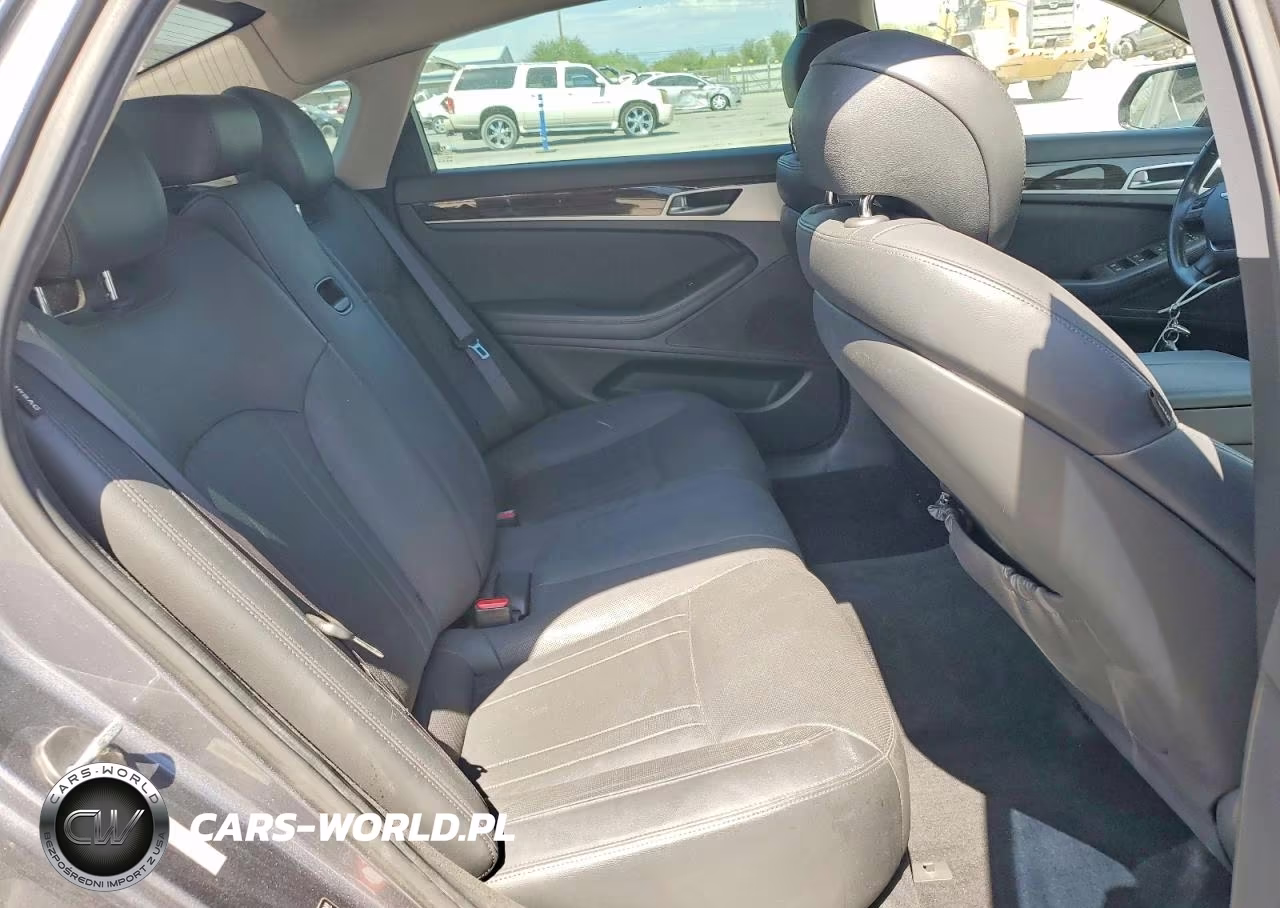 2015 Hyundai Genesis 3.8L VIN:KMHGN4JEXFU013725 - 10
