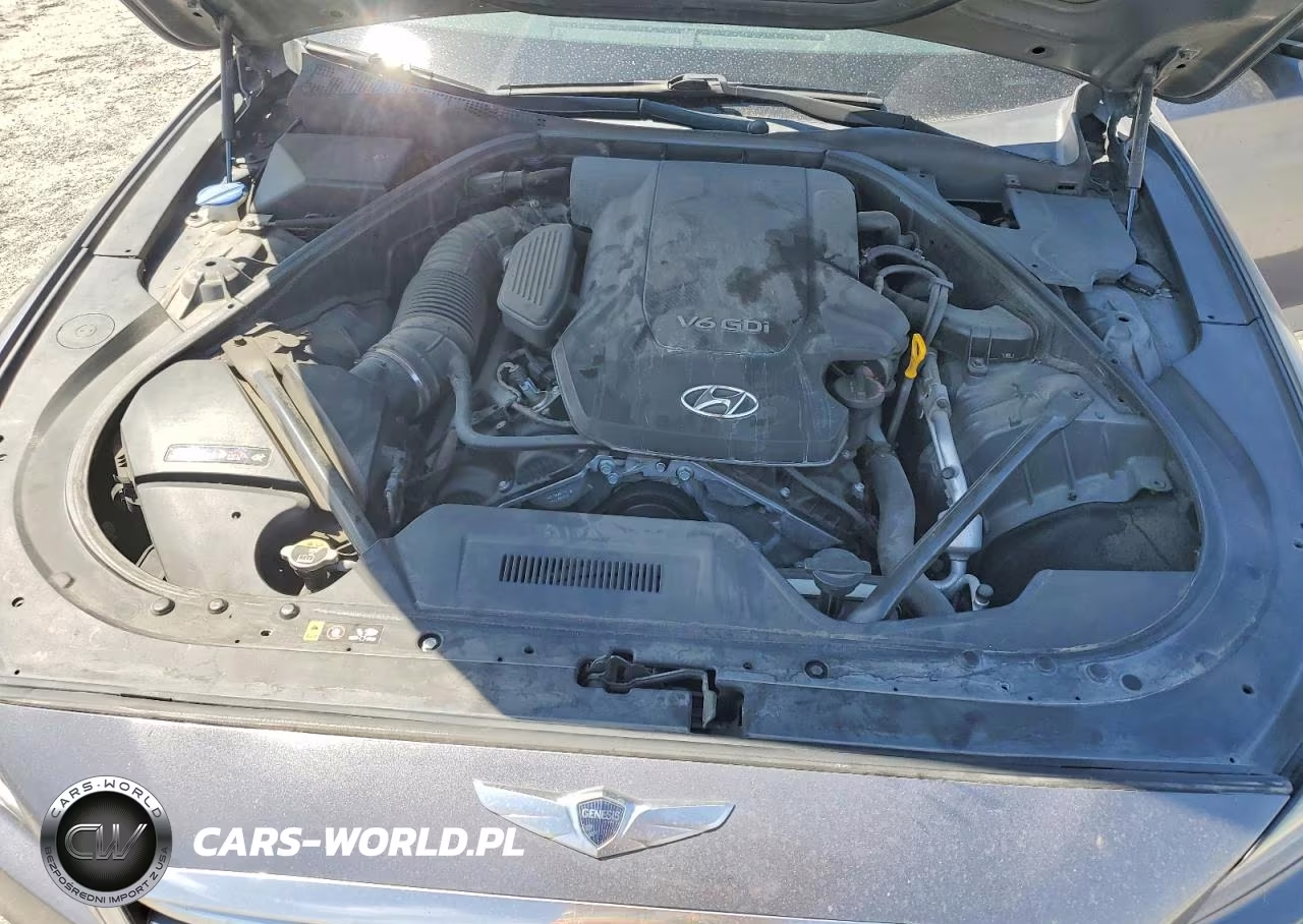 2015 Hyundai Genesis 3.8L VIN:KMHGN4JEXFU013725 - 11