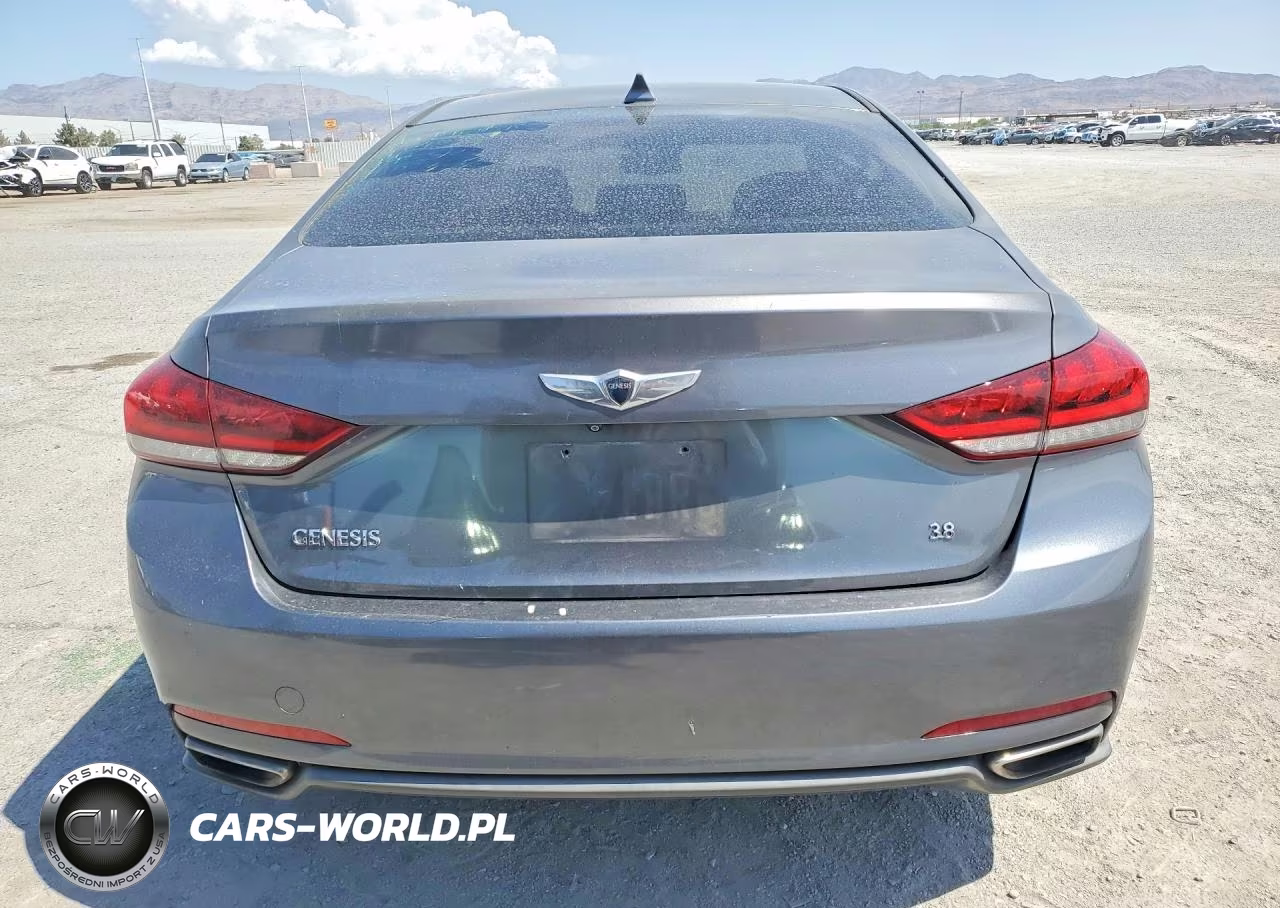 2015 Hyundai Genesis 3.8L VIN:KMHGN4JEXFU013725 - 6
