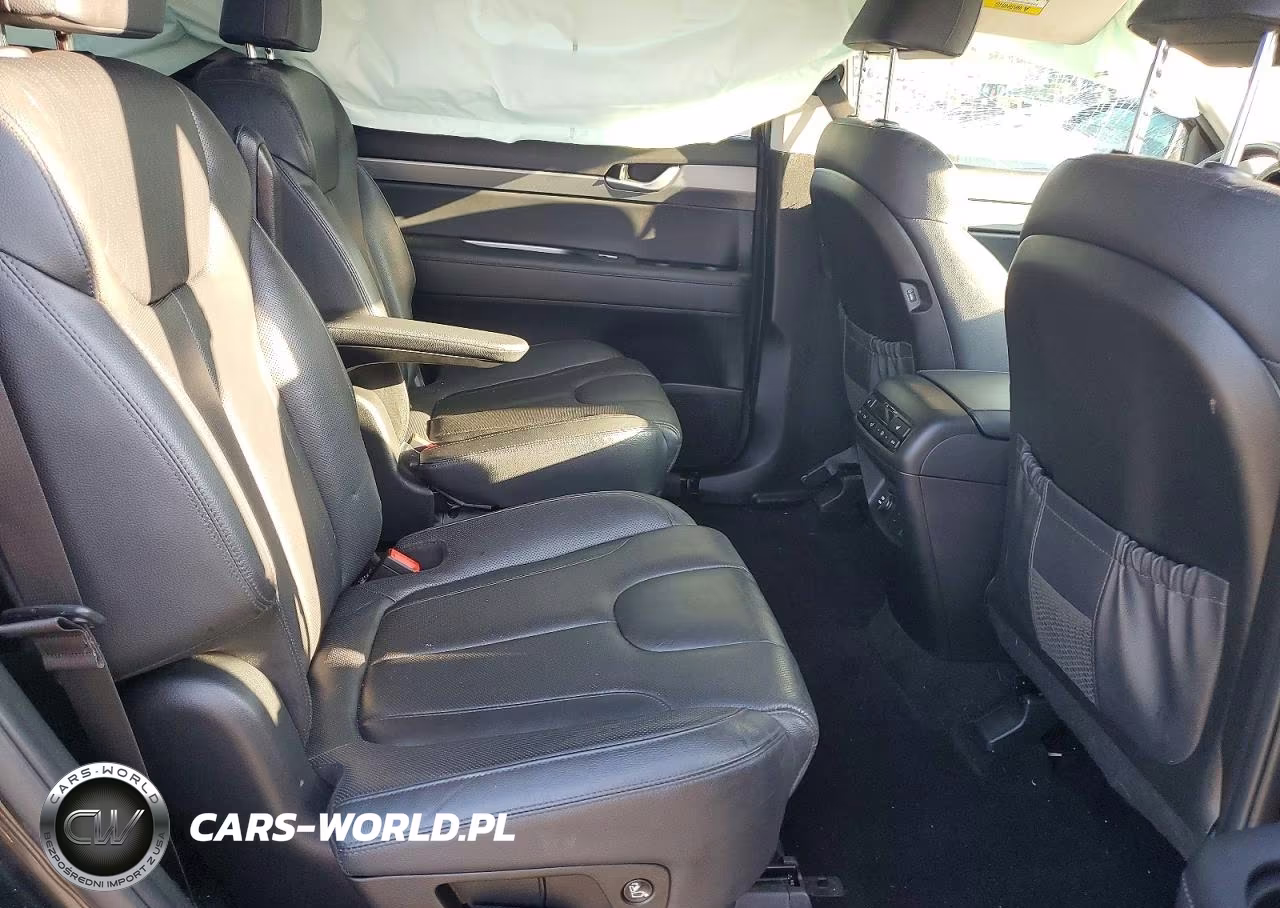 2020 Hyundai Palisade Sel VIN:KM8R44HE5LU142629 - 11