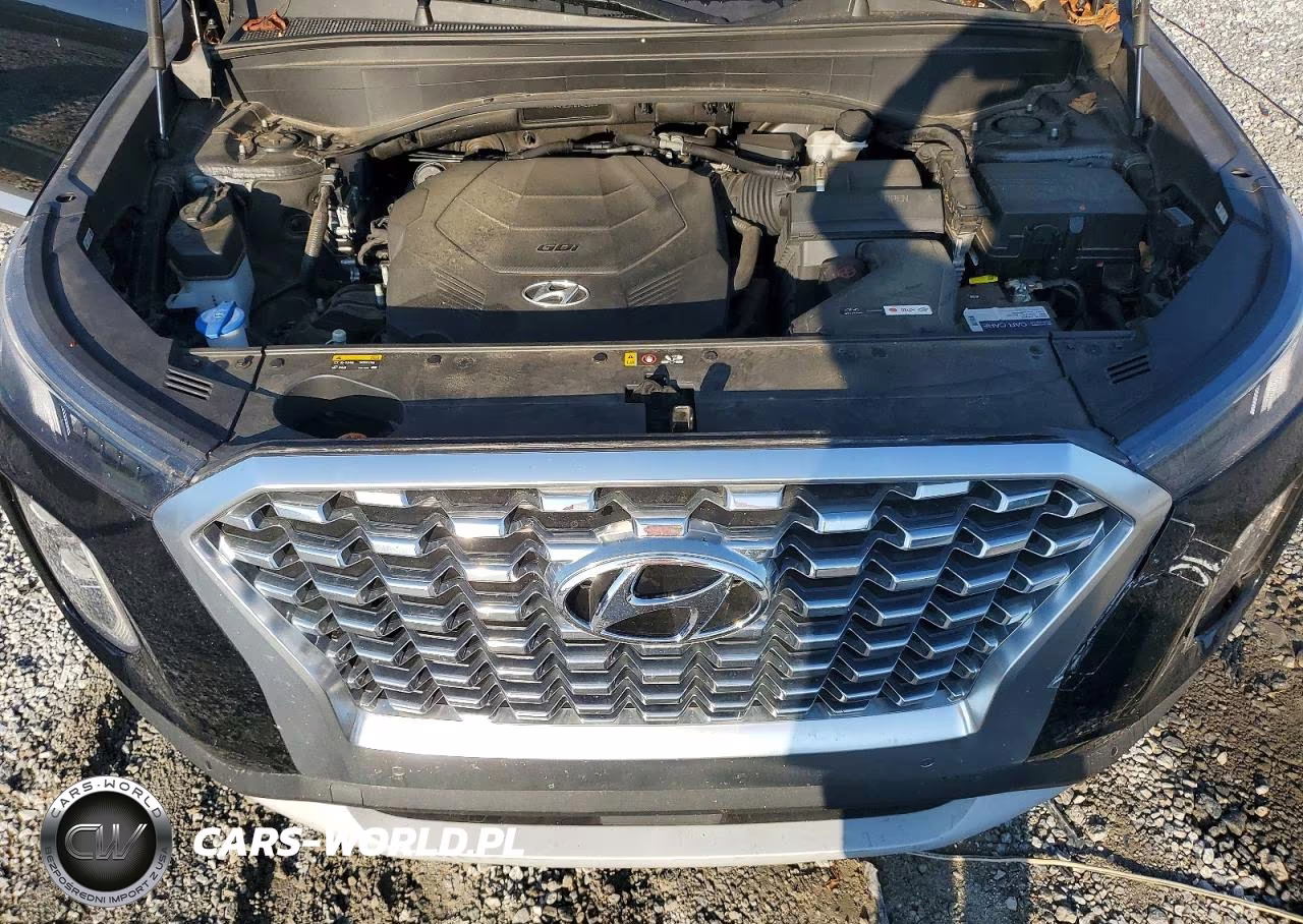 2020 Hyundai Palisade Sel VIN:KM8R44HE5LU142629 - 12